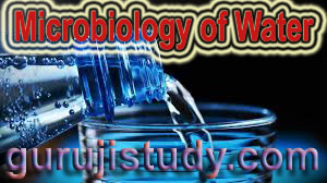 BSc Microbiology of Water Notes Study Material